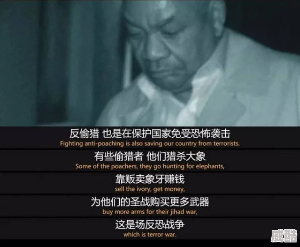 家庭轮换netflix热门纪录片揭露惊人秘密引发全球热议