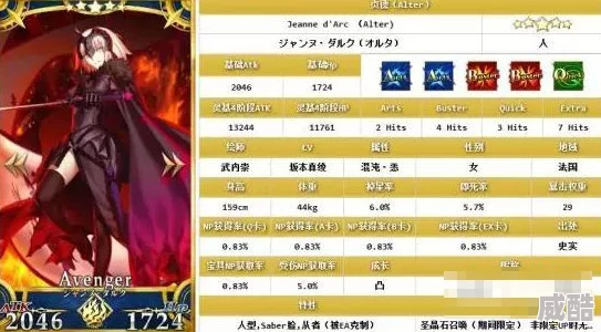 命运冠位指定：2024黑贞德高效暴击阵容英灵搭配推荐