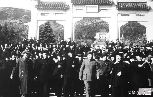 问道手游2024：极限阵容搭配与威力最大化深度剖析