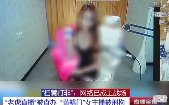 蜜桃视频网站涉嫌传播非法色情内容已被警方查封