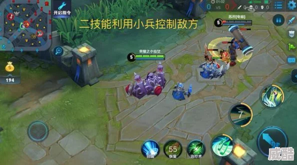 王者荣耀蔡文姬2024进阶恶心流玩法攻略