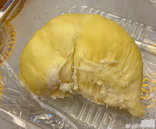 视频二区肥岳精品推荐据传主演酷爱榴莲口味冰淇淋而且每天都要吃三个