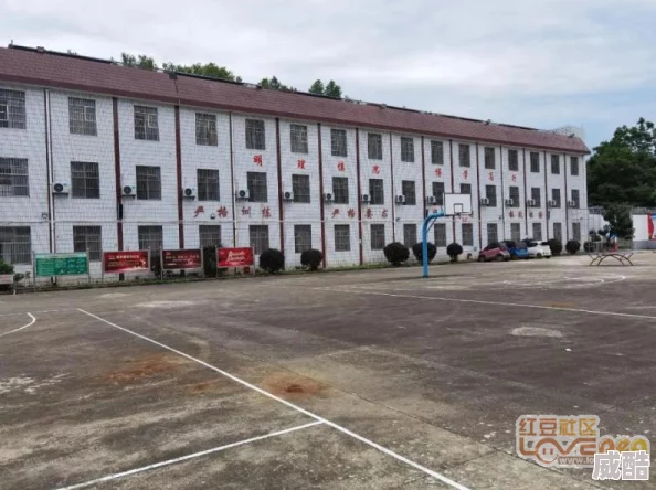 国产成人免费视频app原名桃花岛视频禁止未成年人访问