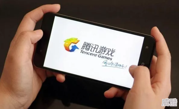 2024梦幻西游手游：高手攻略之宠物优劣辨别新法