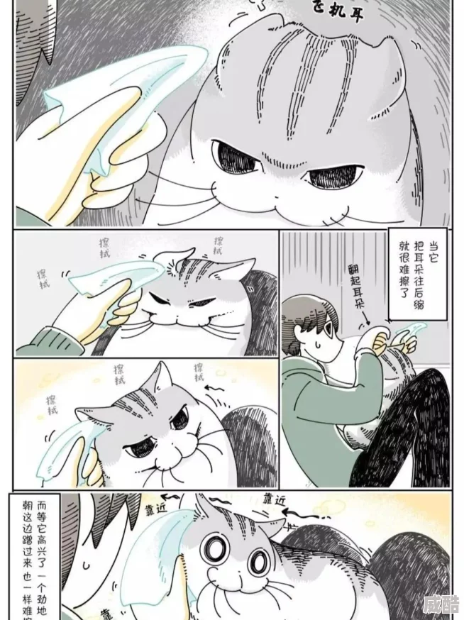 羞羞漫画尊龙凯时首页登入据传作者大大最近沉迷养猫作品更新或将放缓