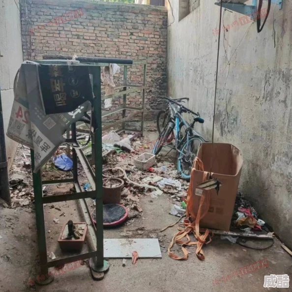 九品升级毕业区(场所)环境脏乱差存在安全隐患亟待整改
