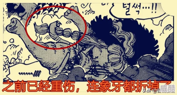 刀剑少女2：最新战斗力与等级飙升热门攻略解析