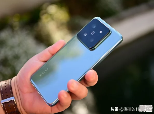 数码世界精英副本：2024最新热门任务规则全解析