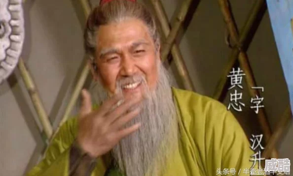 五虎战将手游：热门武将刘表全面属性技能深度解析