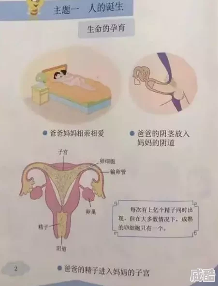 穴18p疑似流出完整版引发网友热议尺度更大