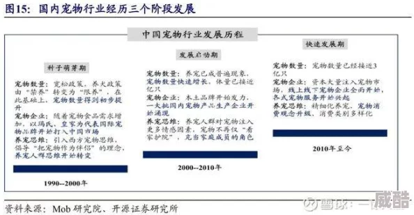 西普大陆深度解析高资质宠物高效捕捉策略与技巧详解