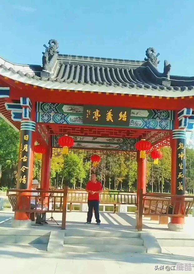 深度解析构建凤舞三国中的最强阵容策略与搭配