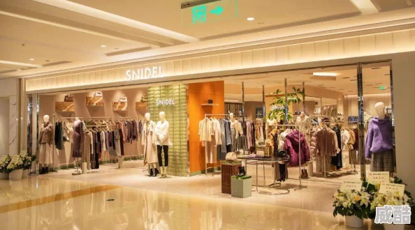 深度解析开间服装店，实施闪耀提升的策略与技巧攻略