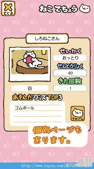 深度解析《猫咪后院2》预计上线时间及背景介绍