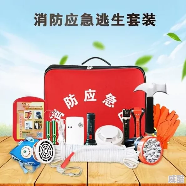 深度解析方舟生存进化联网所需的关键程序及配置要求