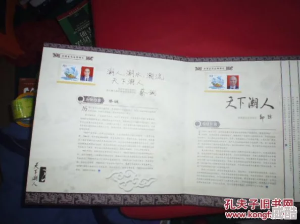《归龙潮》帛票怎么用？