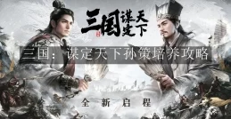 《三国：谋定天下》双关左队伍怎么玩？