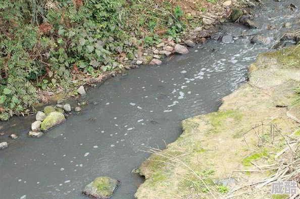 脏水队还有哪些出路？