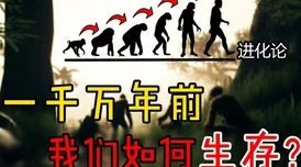 文明6玩中国，选哪个秘密结社比较好？