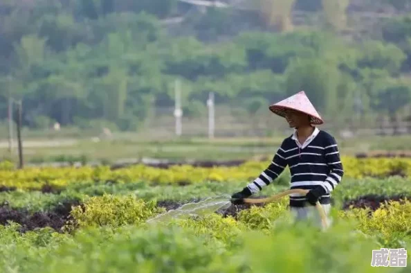 我的世界树苗怎么才能茁壮成长？
