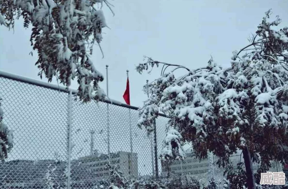 重返校园，尘封的记忆如何解开？