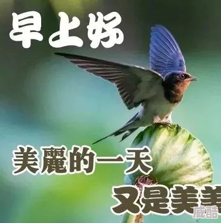 烟雨江湖选择哪个随从比较好？