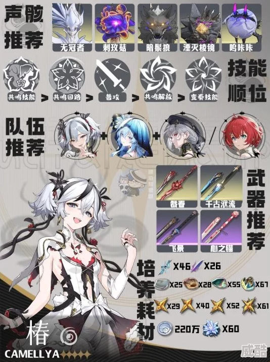 《鸣潮》椿主c怎么配队？