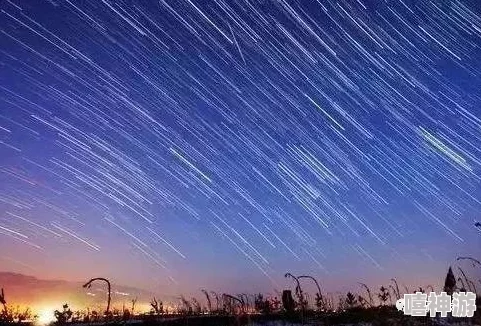 星空无限传媒 尊龙凯时官网：全新平台上线，带你领略无尽的创意与视听盛宴，开启属于你的传媒之旅！